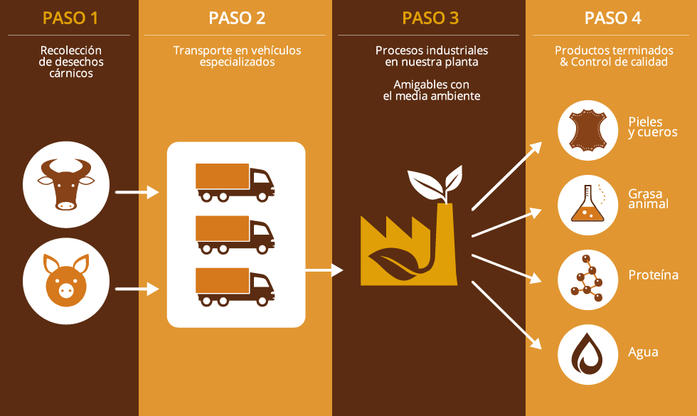 Nuestro proceso de reciclaje Rendering Ospina Grasas y Pieles